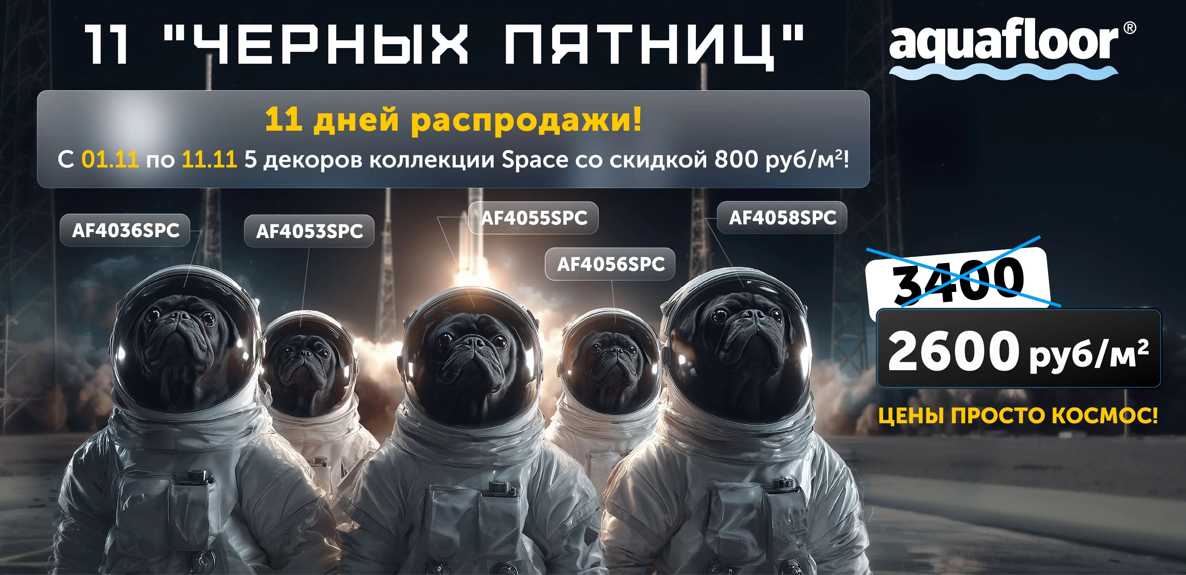 11 черных пятниц