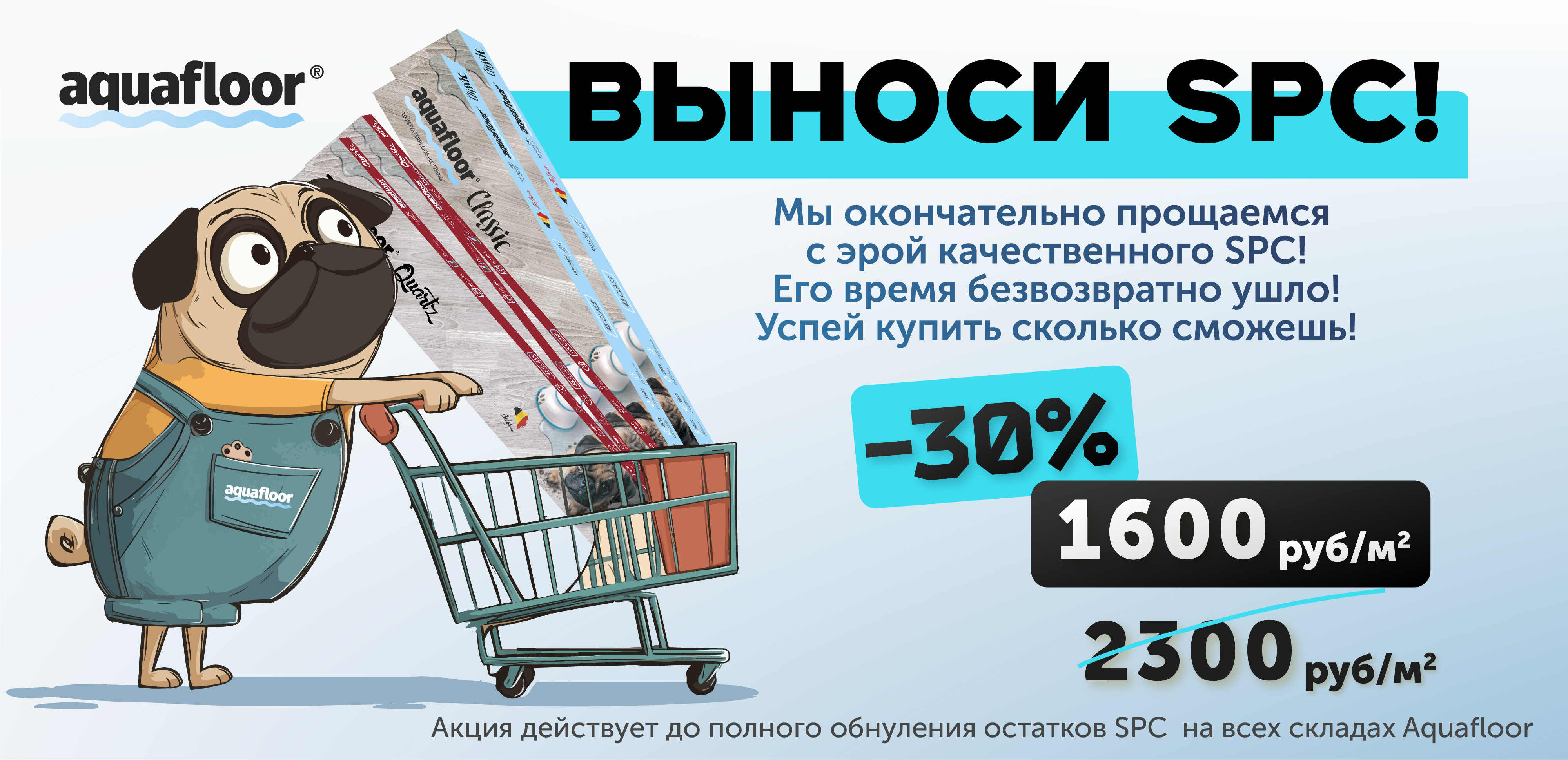 Выноси SPC 